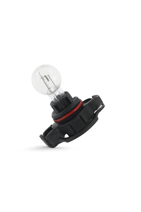 Originele lamphouder met gloeilamp