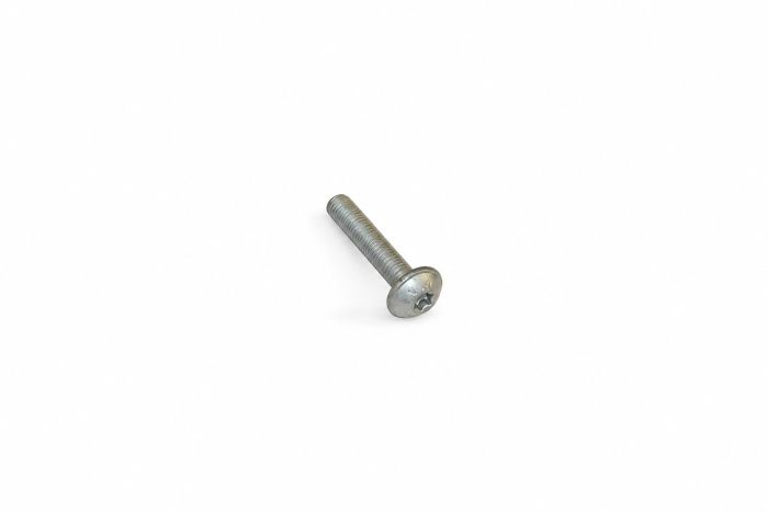 Originele flensbout met inwendige torx (M6X35)