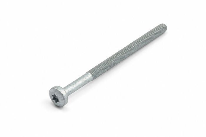 Originele inbusbout met platte kop (M6X95)