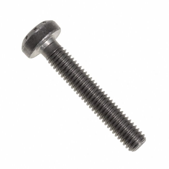 Originele inbusbout met platte kop (M6X35)