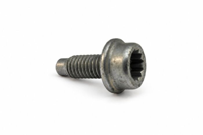 Originele inbusbout (M8X20)