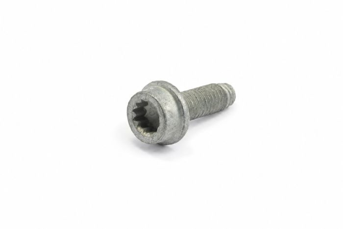 Originele poly-inbusbout (M8X25)