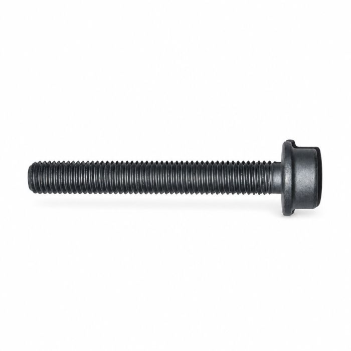 Originele poly-inbusbout (M8X60)