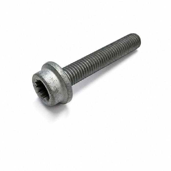 Originele poly-inbusflensbout (M10X58)