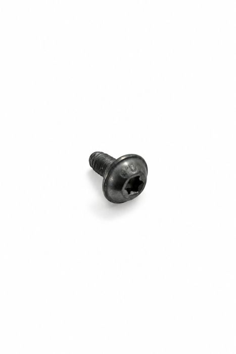Originele flensbout met inwendige torx (M5X10)