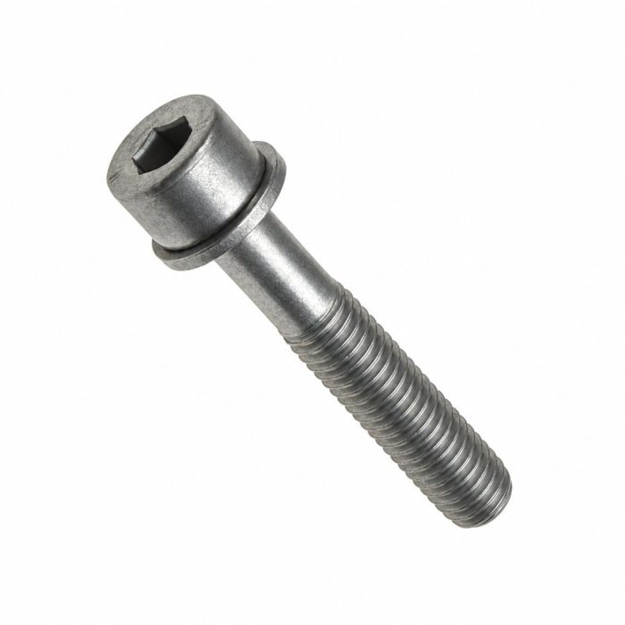 Originele inbusbout met inbus- kop (combi) (M8X45)