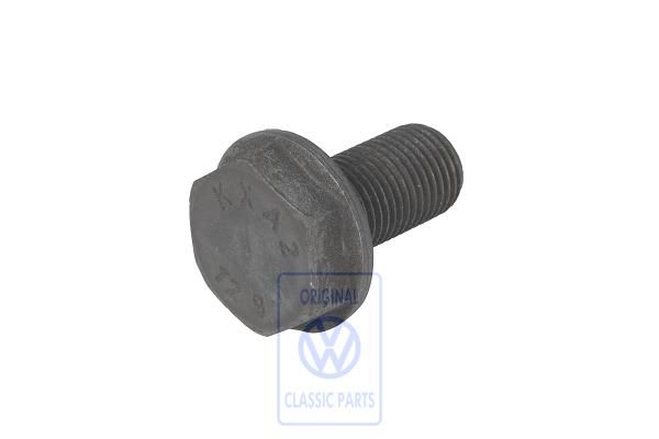 Volkswagen Lupo zeskantbout vliegwiel M10x1x19,5 (AHT)