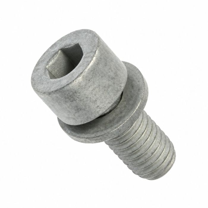 Originele inbusbout met inbus- kop (combi) (M8X18)
