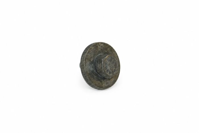 Originele zeskantbout (combi) zelfborgend (M10X22)