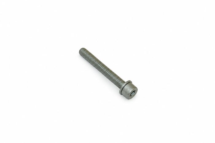 Originele inbusbout met inbus- kop (combi) (M8X60)