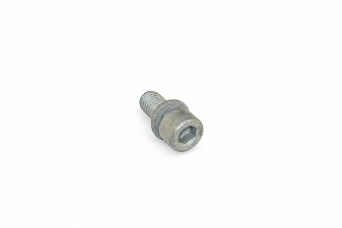 Originele inbusbout met inbus- kop (combi) (M10X22)