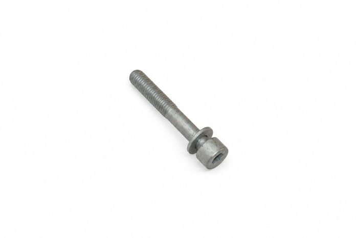 Originele inbusbout met inbus- kop (combi) (M8X55)