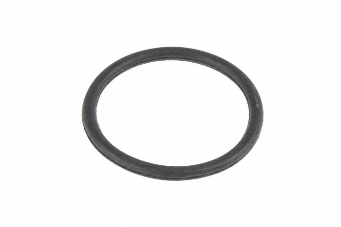 Originele o-ring (22MM x 2MM)