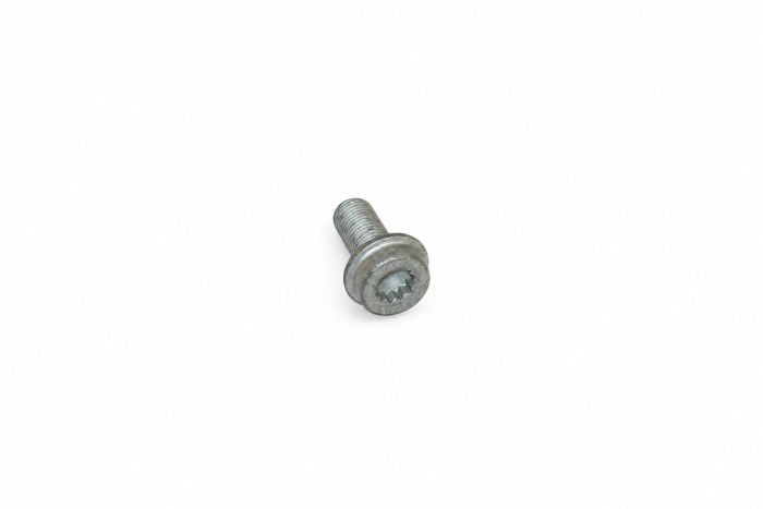 Originele inbusbout met inbus- kop (combi) (M10X1X20)