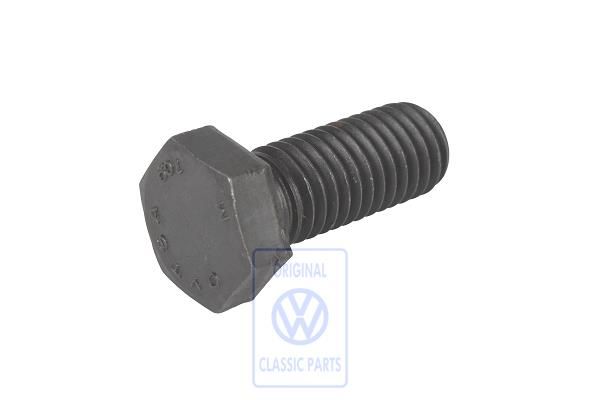 Volkswagen zeskantbout M10x24,5