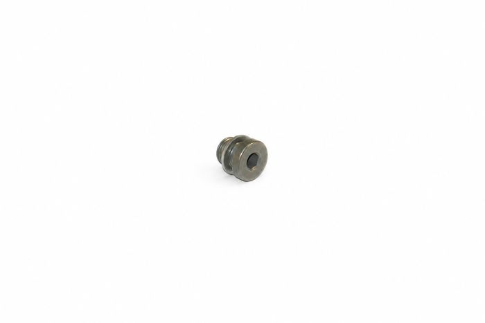 Originele afsluitplug met afdichtring (M10X1X10)