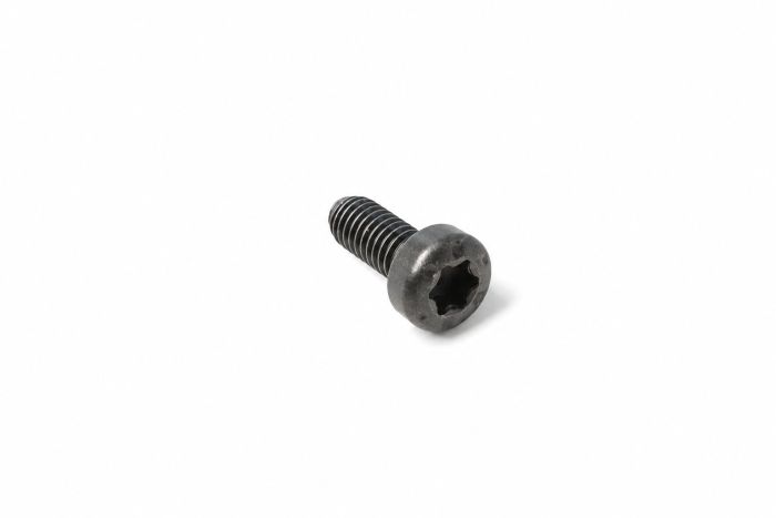 Originele lenskopbout (M4X10E)