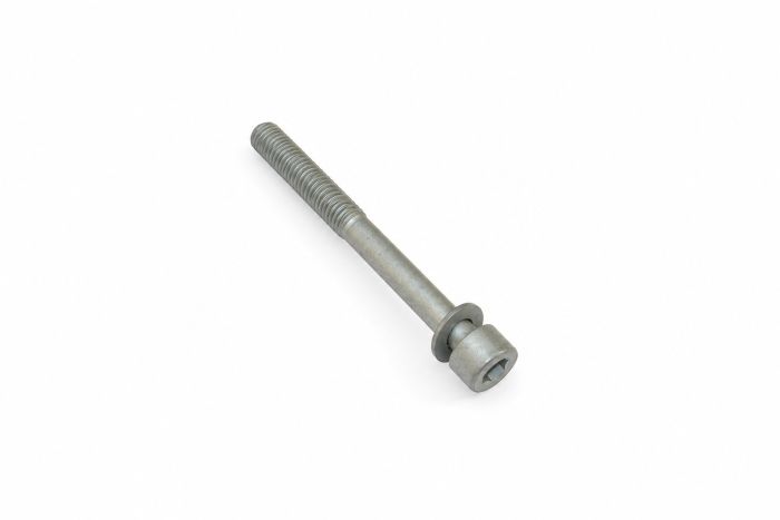 Originele inbusbout met inbus- kop (combi) (M10X100)