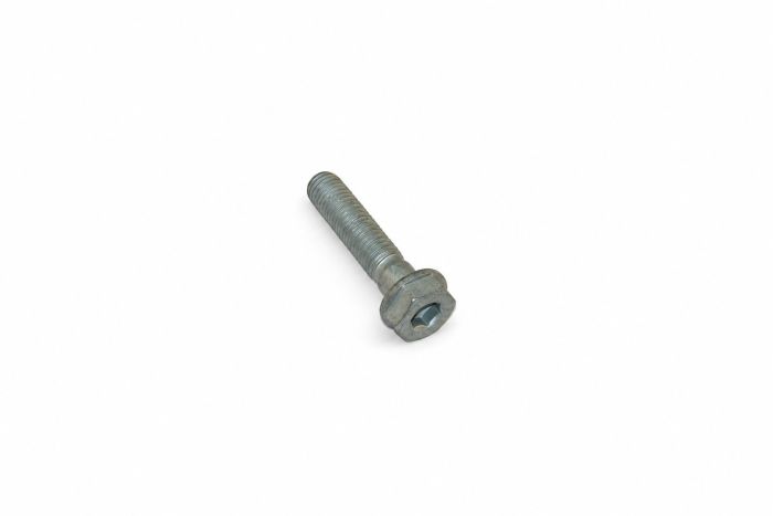 Originele zeskantbout (combi) (M10X45)