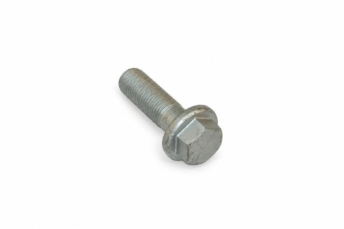 Originele zeskantbout (M16X1,5X48)