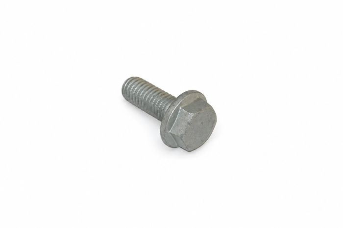 Originele zeskantbout (M10X25)