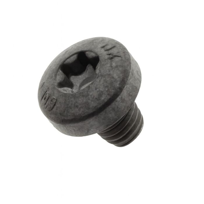 Originele cilinderkopschroef met inwendige torx, zelftappend (M6X7)