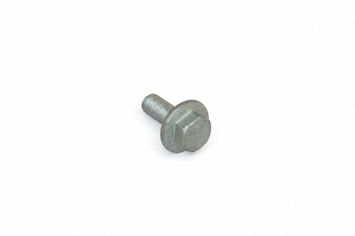 Originele zeskantbout (M8X20)