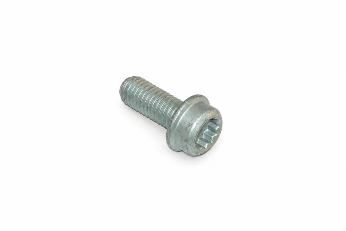 Originele inbuskraagbout met poly-inbuskop (M10X25)