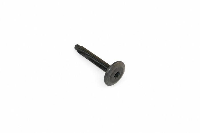 Originele inbusbout met platte kop (M6X40)