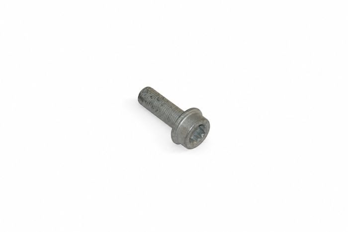 Originele inbus- bout (M10X1X30)