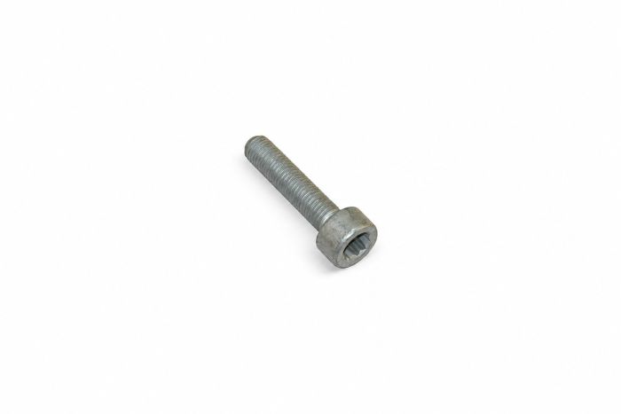 Originele inbusbout met poly-inbuskop (M10X45)