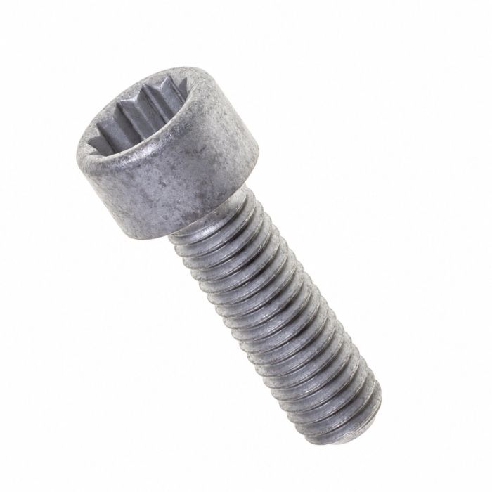 Originele inbusbout met poly-inbuskop (M8X25 N 910 059)
