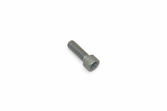 Originele inbus- bout (M8X25)