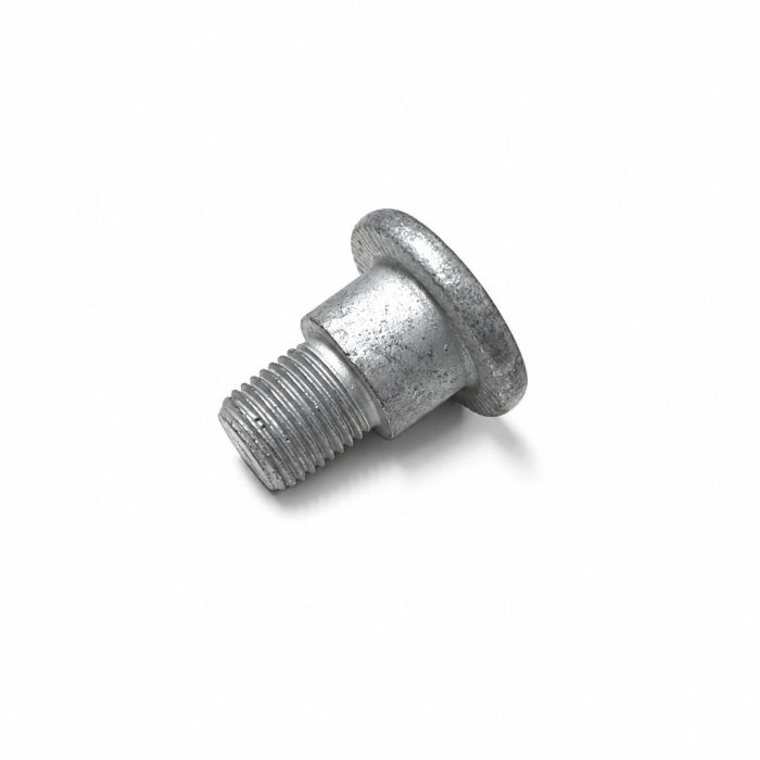 Originele inbusbout met inbus- kop (M10X1X13X19)