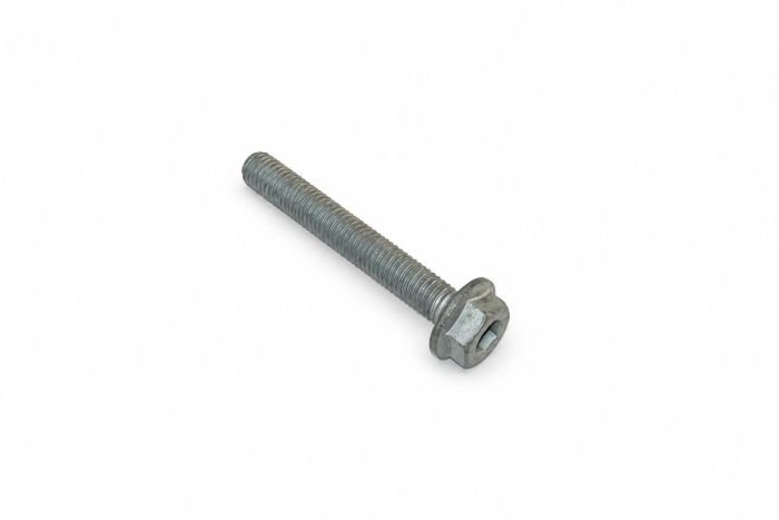 Originele zeskantbout (M10X70)