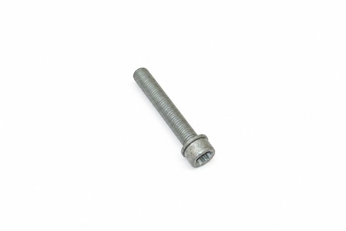 Originele inbusbout met poly- inbuskop (combi) (M12X1,5X75)