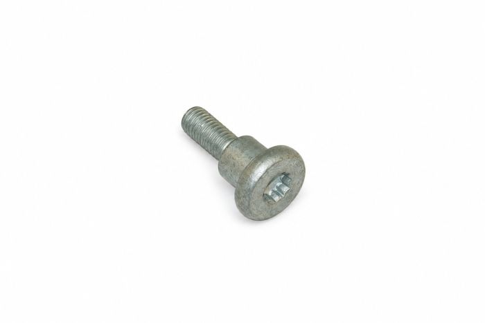 Originele pasbout (M10X16X38)