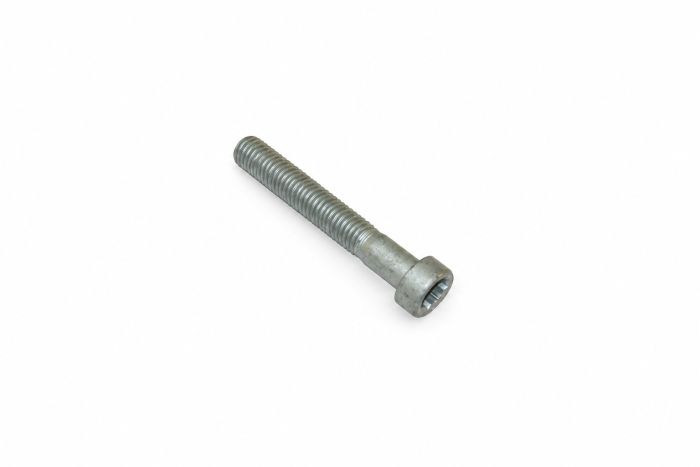Originele inbusbout met poly-inbuskop (M10X65X45)