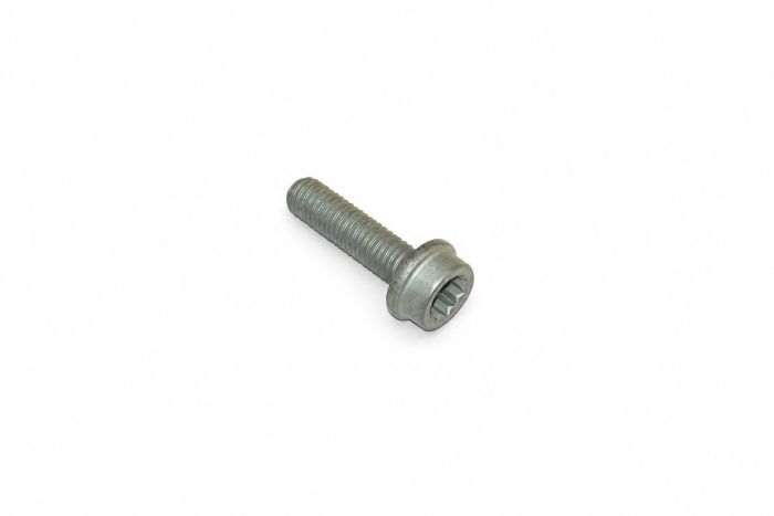 Originele inbusbout (M8X30)