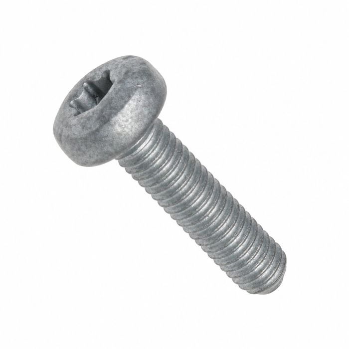 Originele inbusbout met platte kop (M6X25)