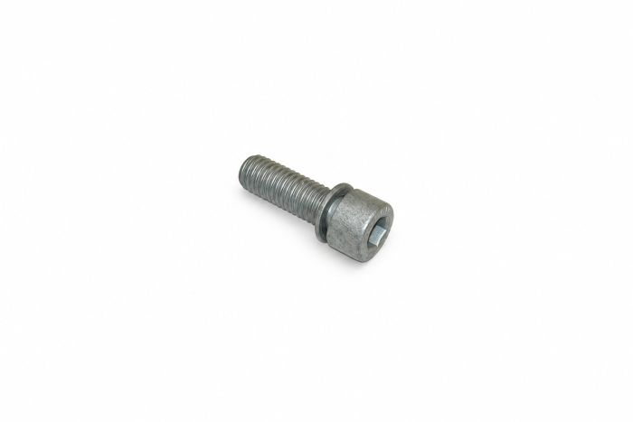 Originele olieaftapplug met afdichtring (M10X30)