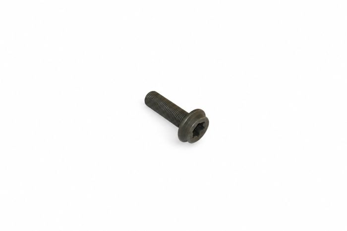 Originele inbusbout met inbus- kop (combi) (M10X1X32)