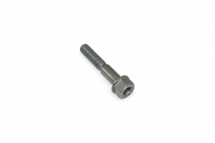 Originele inbuskraagbout met inbuskop (M10X11X60)