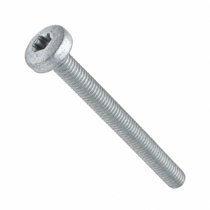 Originele inbusbout met platte kop (M6X60)