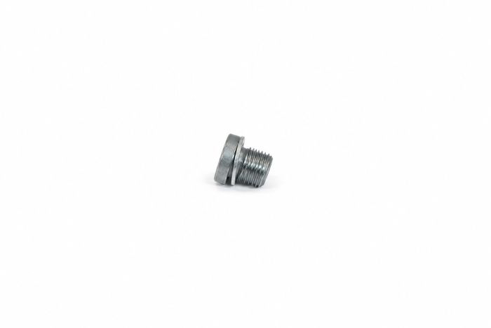 Originele afsluitplug met afdichtring (M10X1X10)