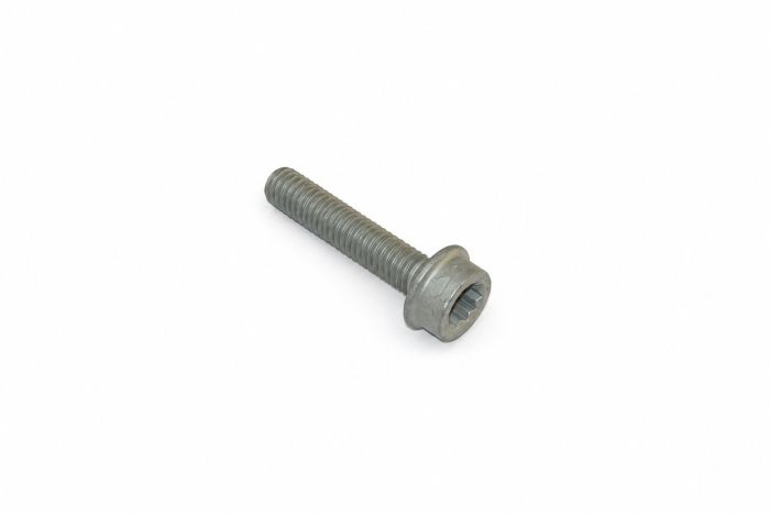 Originele inbusbout met poly-inbuskop (M8X35)