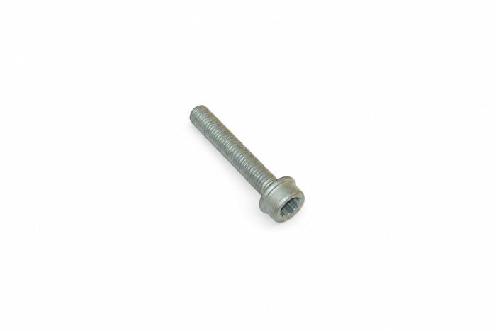Originele inbuskraagbout met poly-inbuskop (M10X60)
