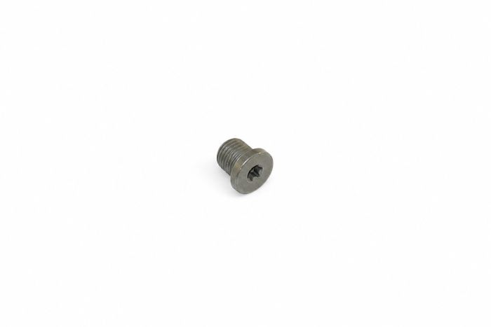 Originele sluitschroef (M10X1X10)