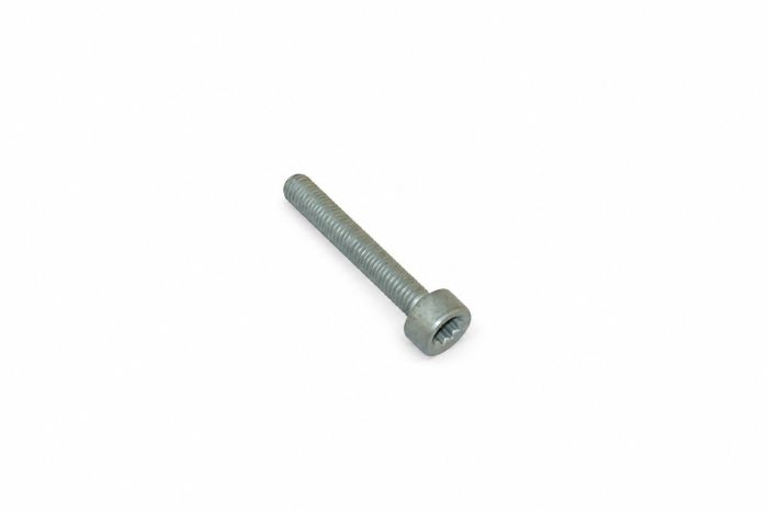 Originele inbusbout met poly-inbuskop (M8X55)