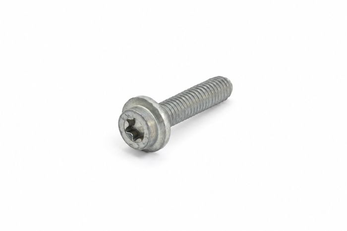 Originele flensbout met inwendige torx (M6X25)